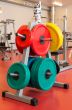 plates for strength training on the stand