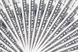 money fantail from 1 dollar