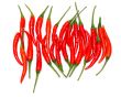 Pile of red chili peppers isolated on white