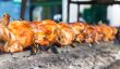 grilled chicken roasted on a spit