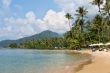 tropical beach, palm trees