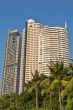 Skyscrapers in the palms