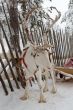 Reindeer in winter at the polar circle.