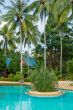 tropical swimming pool