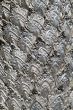 metal stamping, silver temple fragment