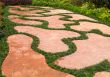 Path in the park