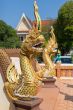 Thai golden dragon guards the entrance to the temple