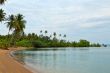 tropical beach with palm trees