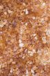 Brown sugar background