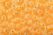 Wheat crackers with poppy seeds