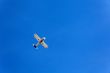 small airplane in day