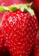 One berry strawberry