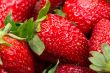 ripe strawberries