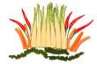 fresh vegetables and spices