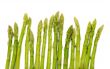 young shoots of asparagus 