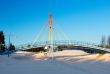 small bridge on the background of a winter landscape