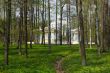 Pavilion in Catherine`s park in Tsarskoe Selo through the woods