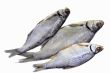 Salted and dried river fish on a white background.