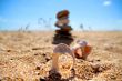 Shells at the beach