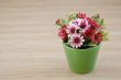 Decorative flower on wooden desk