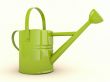 Green watering can