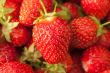 Strawberries closeup