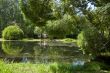 City park