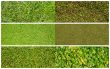Set of grass