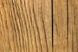 Texture of wood
