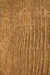 Texture of wood