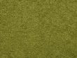 Grass texture