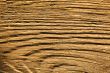 Texture of wood