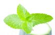 Fresh mint leaves