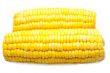 Corn-cob isolated