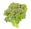 Broccoli isolated