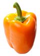 Paprika isolated