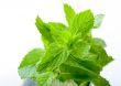 Fresh mint leaves