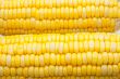Corn-cob
