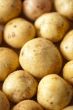 Fresh potatoes