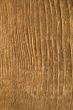 Texture of wood