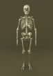Skeleton of a gray background
