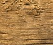 Texture of wood