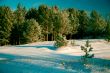 Winter landscape
