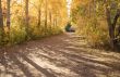 Autumn landscape