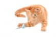 Orange Kitten Playing with Toy Mouse