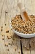 Coriander seeds in small ceramic pot