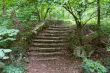 The old staircase overgrown with grass