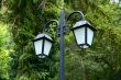 Lantern of the two lights in the trees.