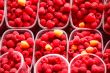 Raspberries in containers for sale.