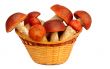 Mushrooms in a wicker basket on a white background.